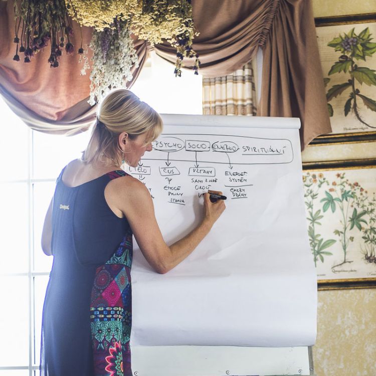 Konzultace